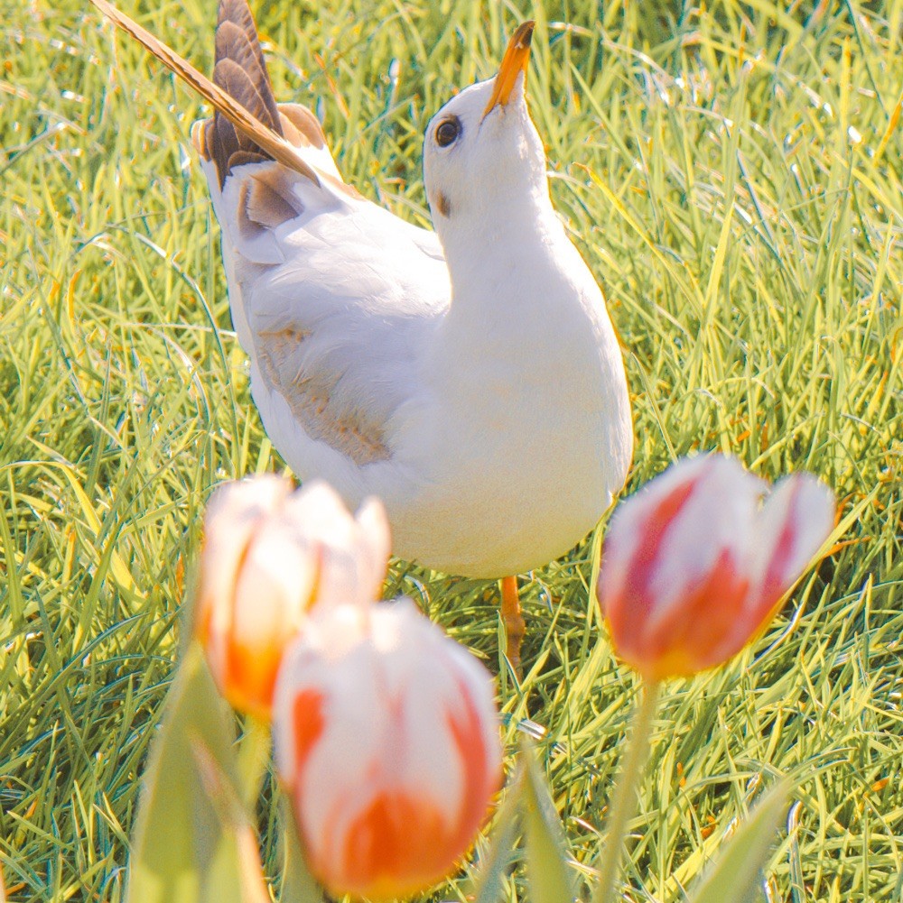 代写地灾评估报告